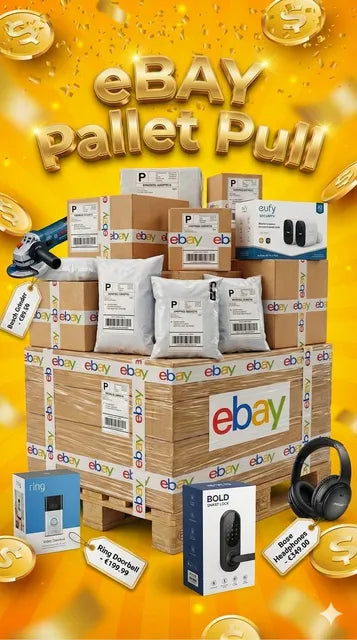 Rutger Alexander — EBAY ELECTRONICS PALLET PULL - THE SUNDAY SHOW · Elektronica live veiling op WhatNot (30-08-2026)