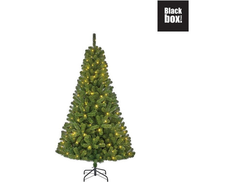 Black Box Charlton kerstboom LED groen 280L 185cm